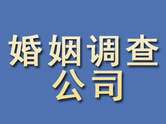 龙凤婚姻调查公司