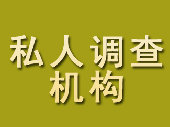 龙凤私人调查机构